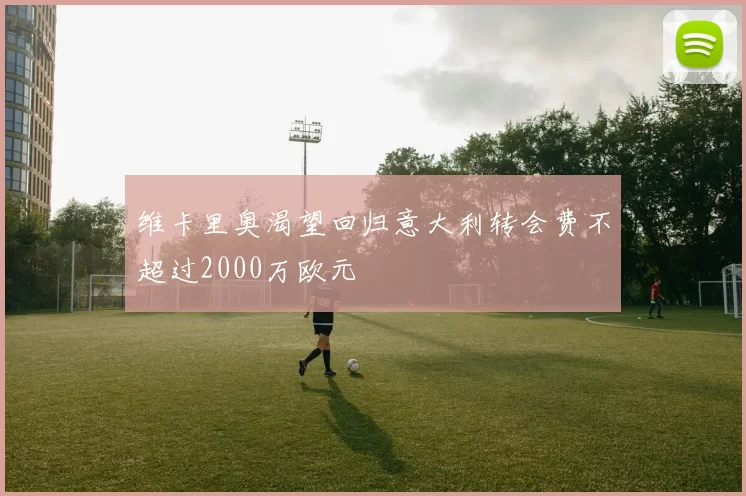 维卡里奥渴望回归意大利转会费不超过2000万欧元